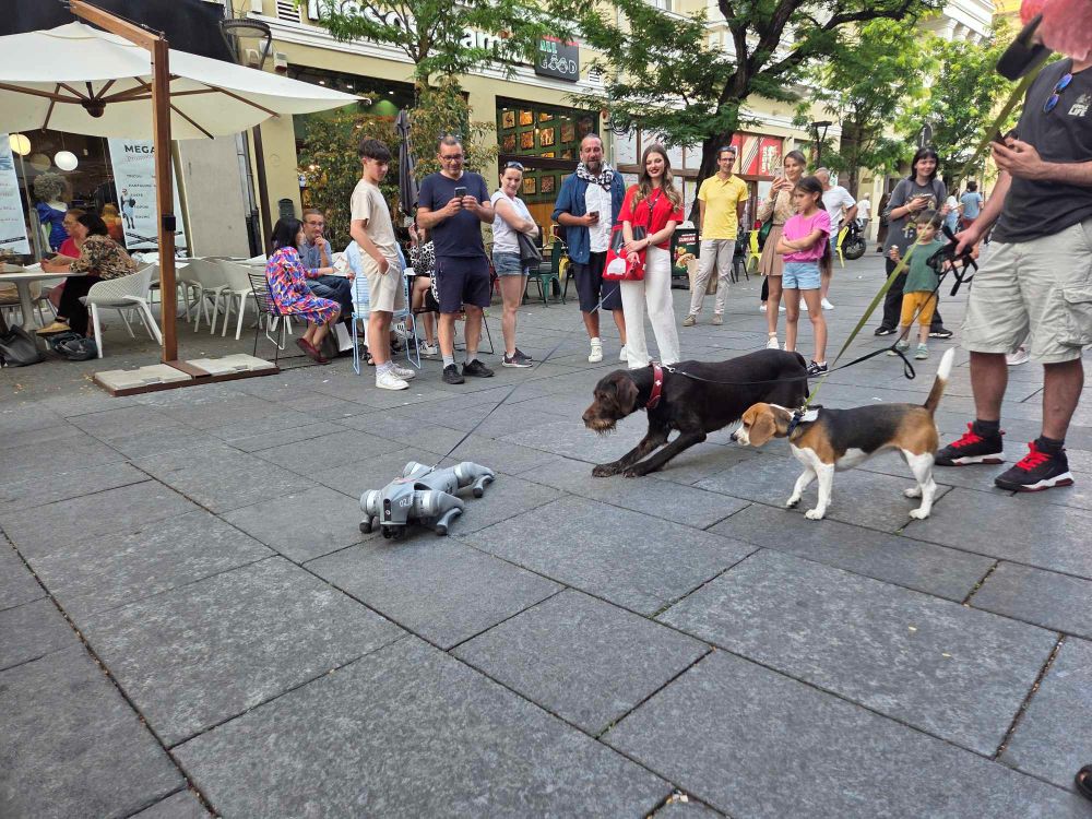 Întâlnirea dintre lumi la TIFF.24. Când natura „adulmecă” robotul | Foto: Eliza Lucaciu