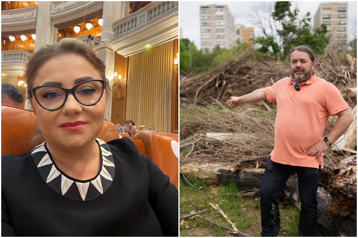 Cristina Trăilă pierde procesul cu jurnalistul Mihai Goțiu. A dat în judecată presa pentru dezvăluiri despre legături cu industria lemnului | Foto 1: Cristina Traila - Facebook