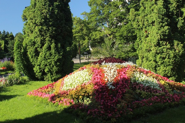 Explozie de culoare la Grădina Botanică din Cluj.  |Foto: Grădina Botanica ”Alexandru Borza”- Facebook