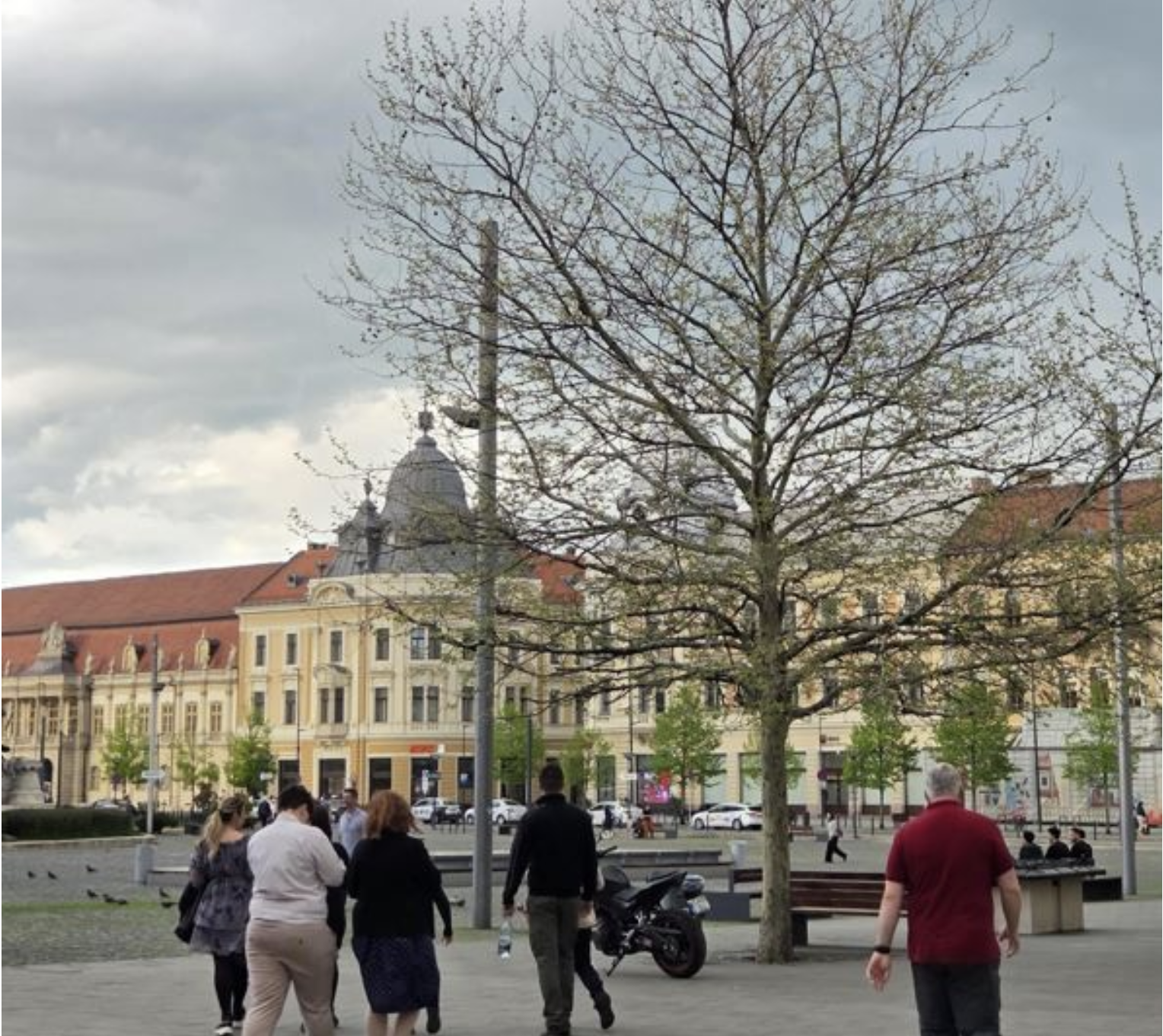 La Cluj-Napoca vor fi averse și descărcări electrice