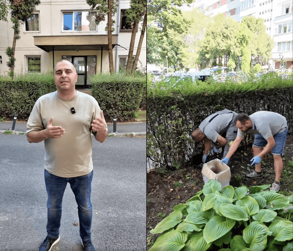 Problema șoboloanilor