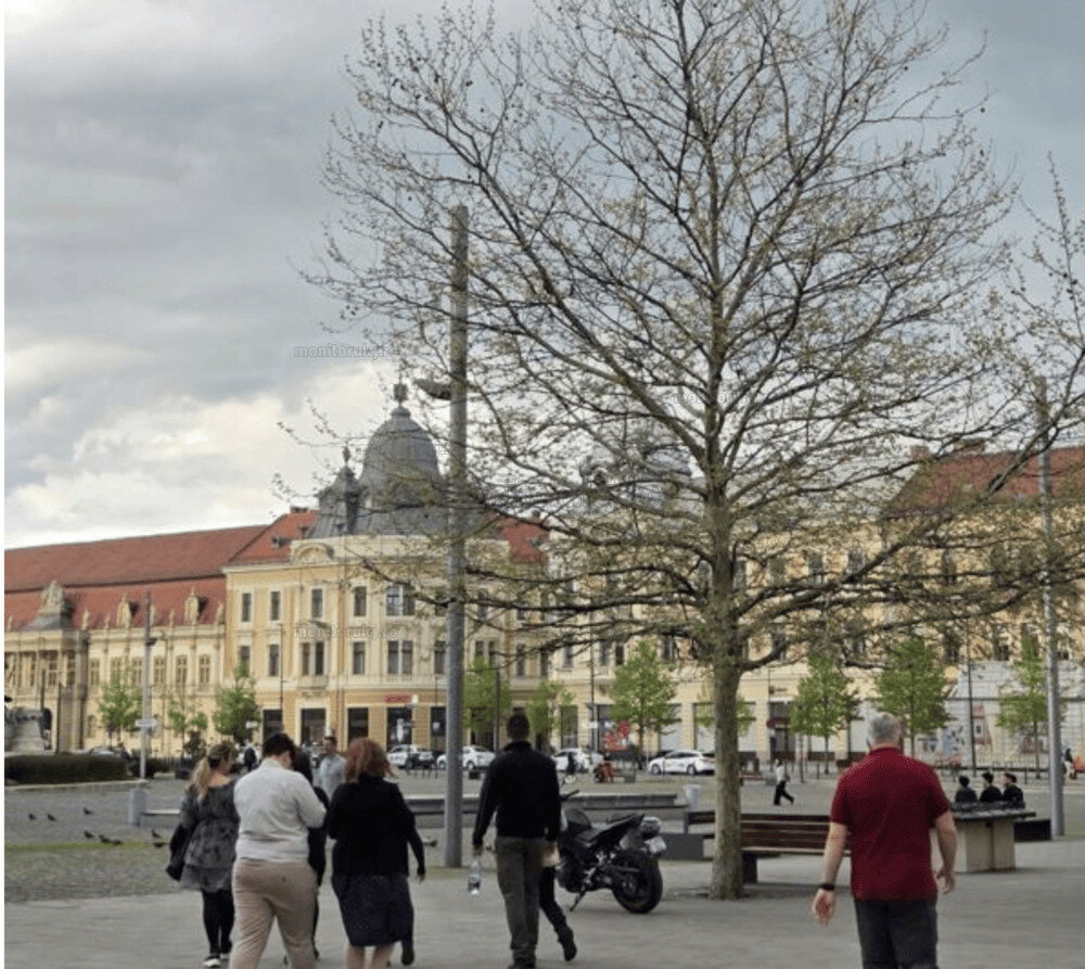 Temperaturile maxime vor ajunge la 29 de grade Celsius la Cluj-Napoca | Foto: monitorulcj.ro