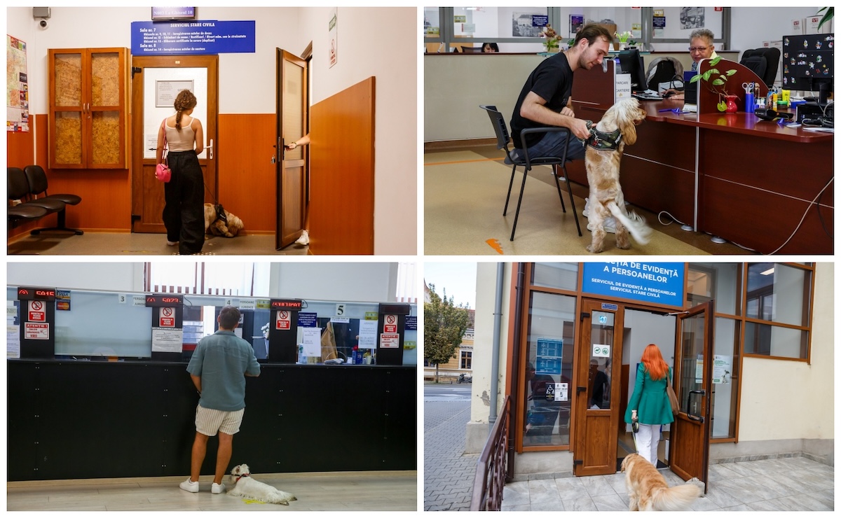 Primăria Cluj-Napoca și-a deschis ușile pentru animalele de companie | Foto: Facebook