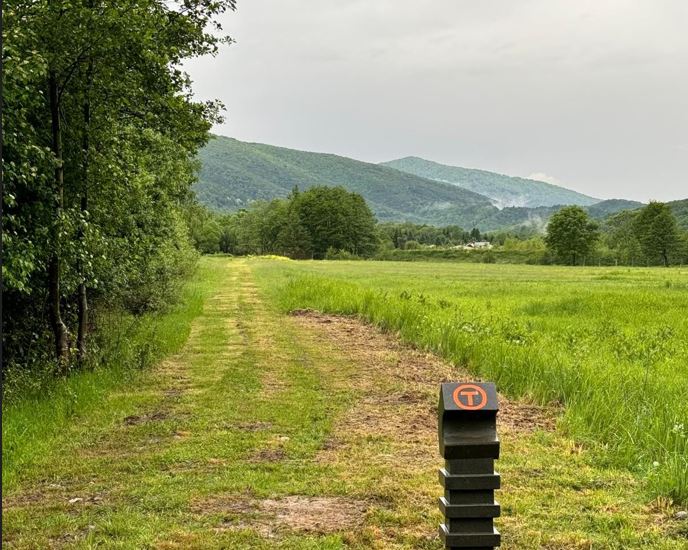Via Transilvanica