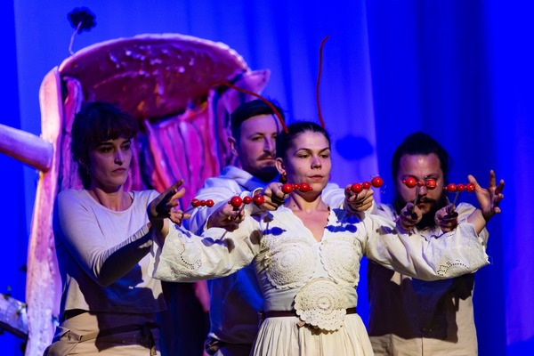 Fluturii albaștri de la Bonțida prind viață pe scena Festivalului de Teatru de la Banja Luka | Foto: Consiliul Județean Cluj- Facebook