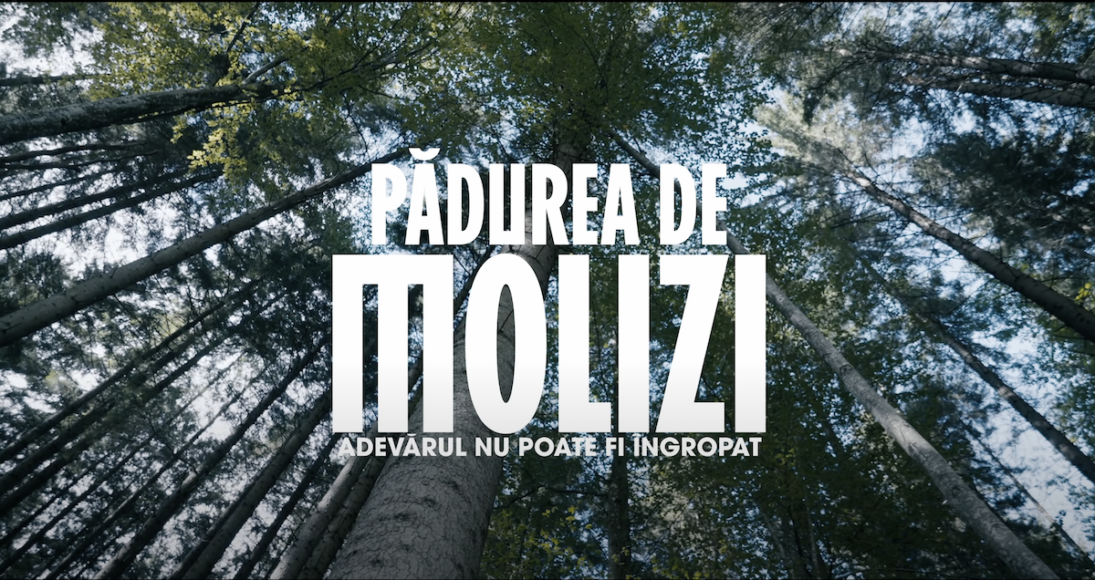 Filmul „Pădurea de molizi”