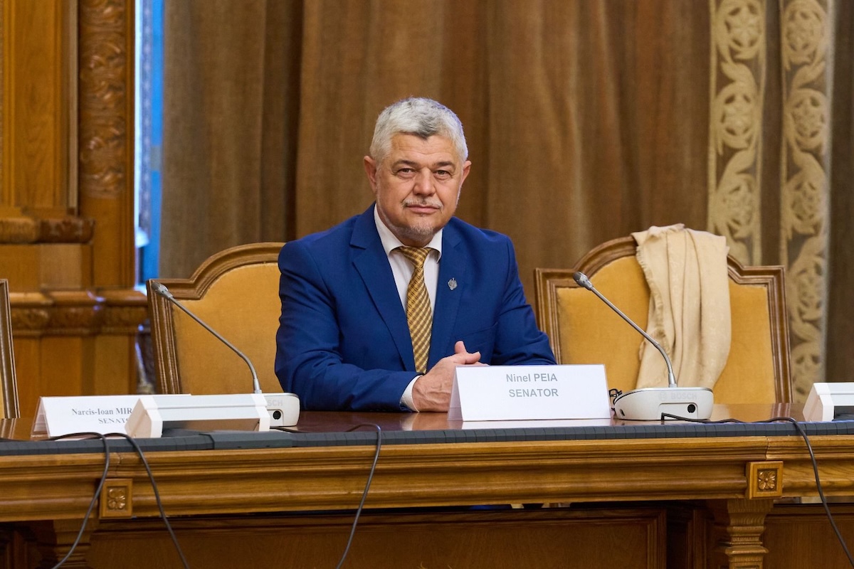 Senatorul Ninel Peia este acuzat de propagandă conspiraționistă în Parlamentul României | Foto: Facebook