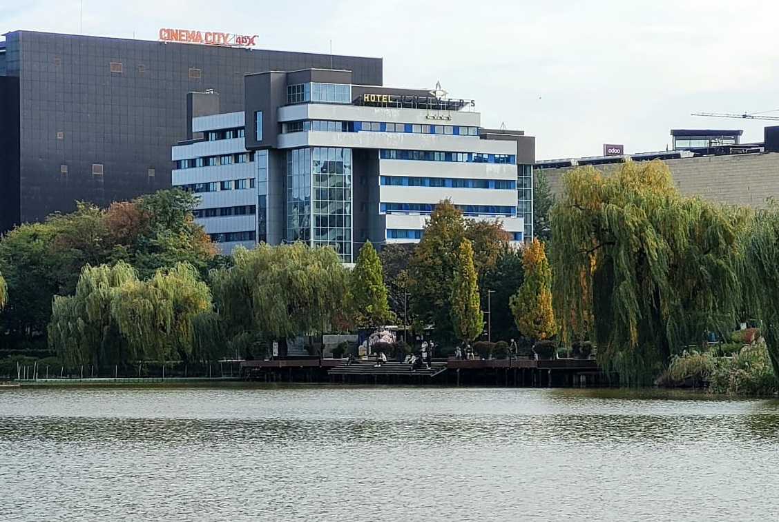 Alin Tișe