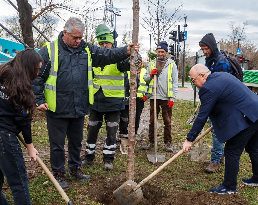 Noi spații verzi în cartierele Clujului! Emil Boc