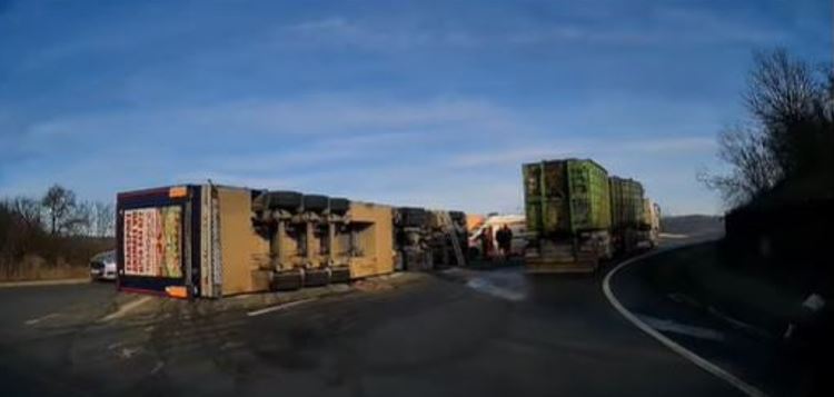 Camion încărcat cu 200 de porci