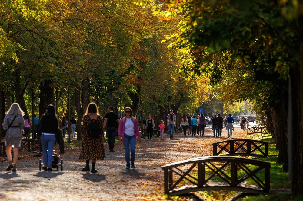 Parcul Central