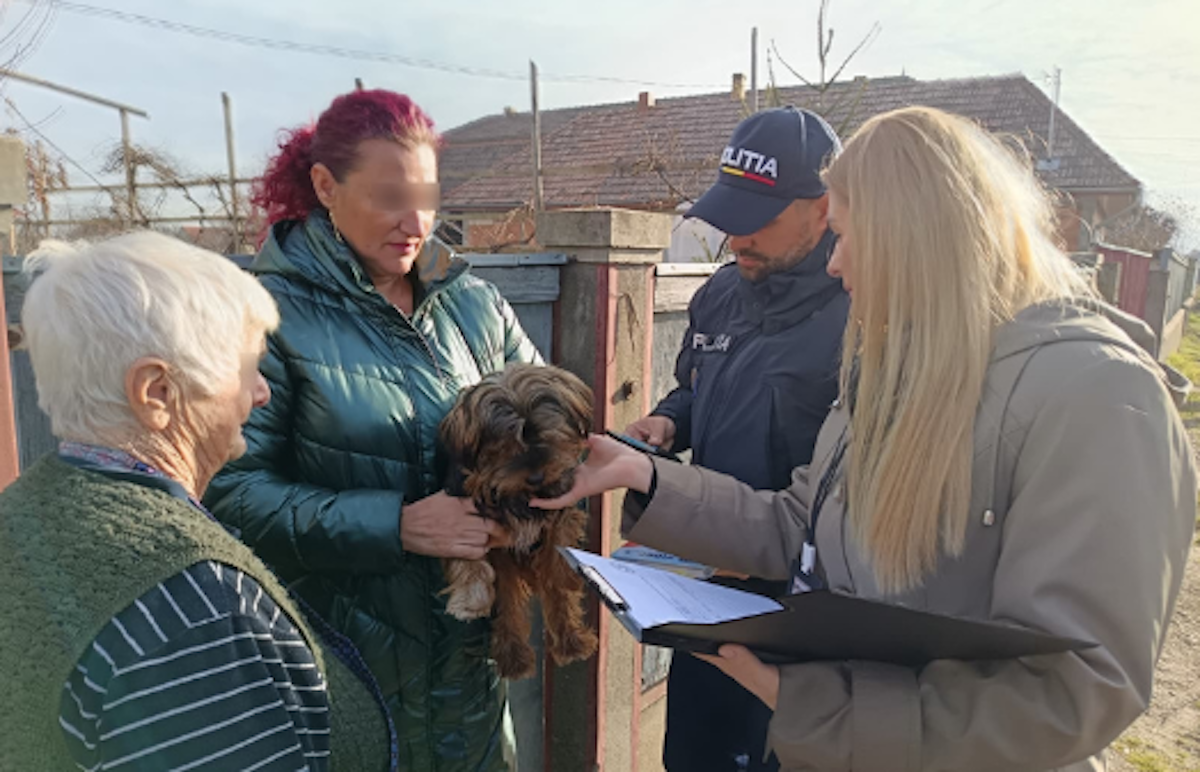 Consiliul Județean Cluj a demarat un program de sterilizare și microcipare pentru câini