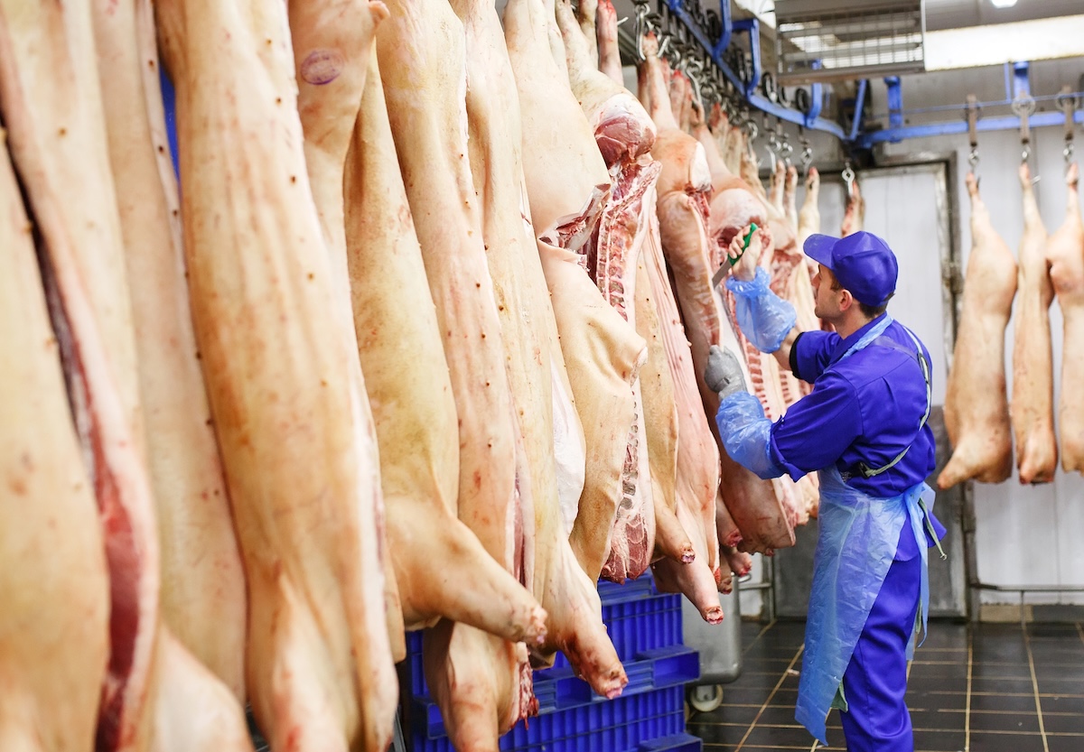 Producătorii de carne de porc trag un semnal de alarmă | Foto: DepositPhotos.com / Fotografie ilustrativă