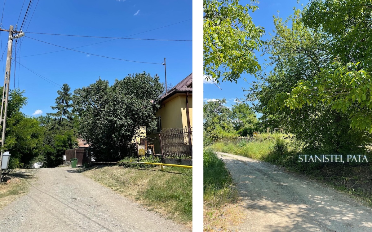 Strada Stăniște din satul Pata