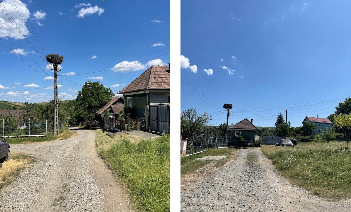 Strada Porumbeilor din satul Pata