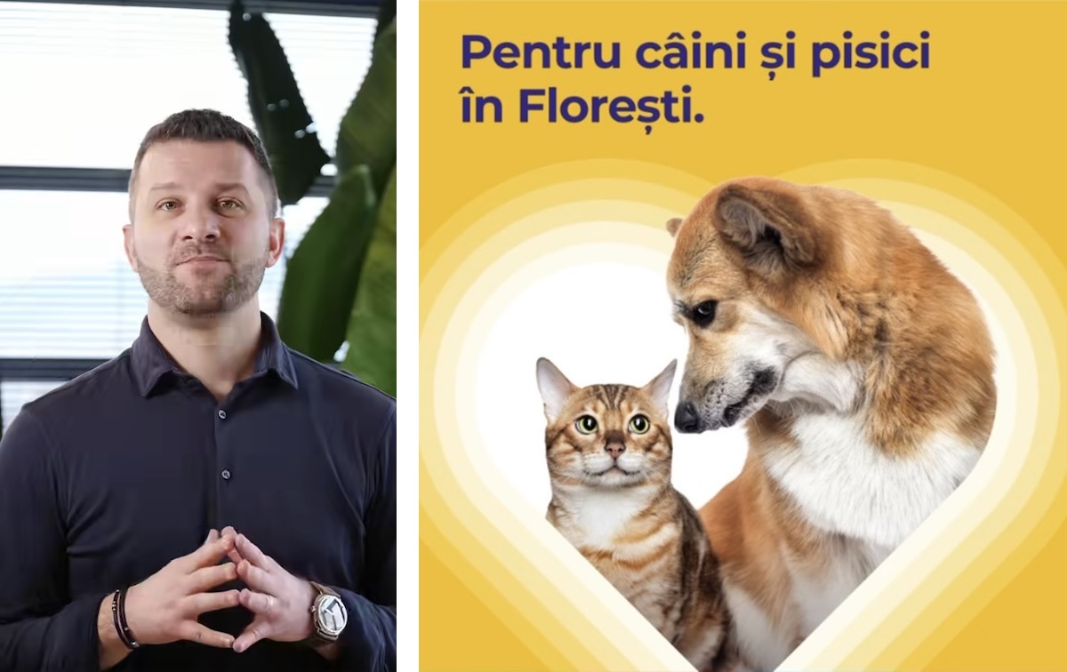 Câinii și pisicile cu stăpân din Florești pot fi sterilizați și microcipați gratuit | Foto: Captură video Facebook