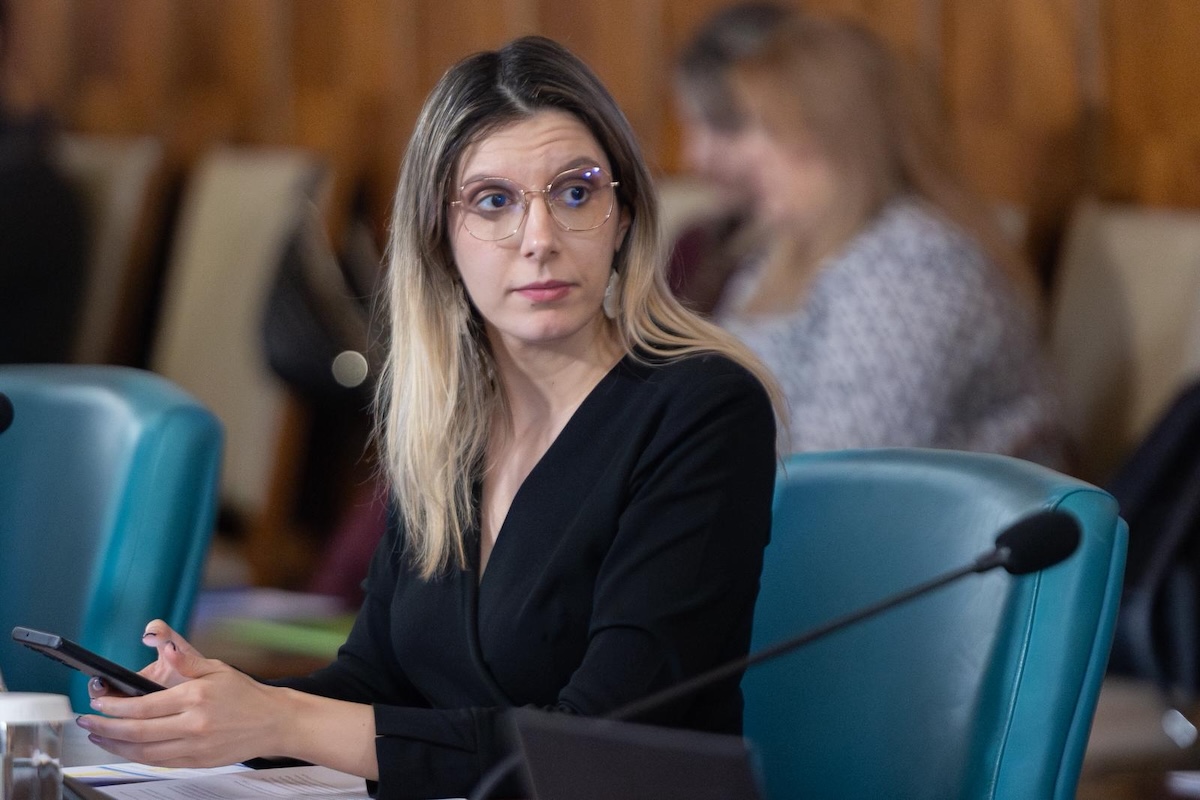 Ministrul Mediului Diana Buzoianu