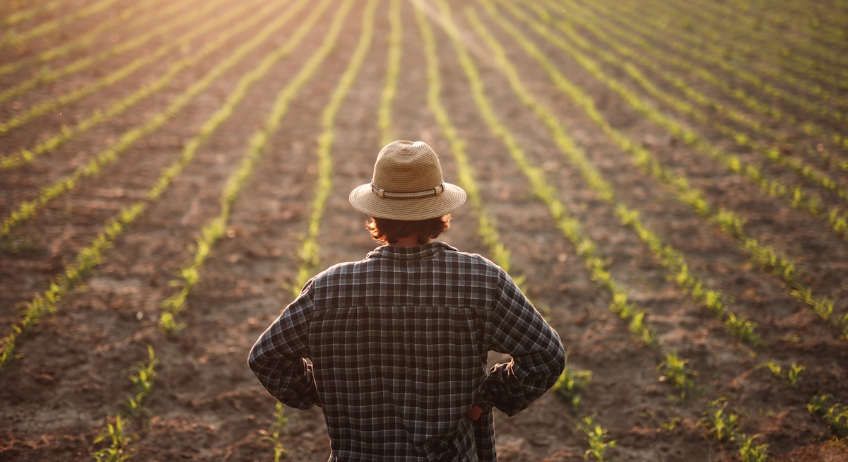 Perioadă dificilă pentru agricultura românească | Foto: DepositPhotos.com / Fotografie ilustrativă