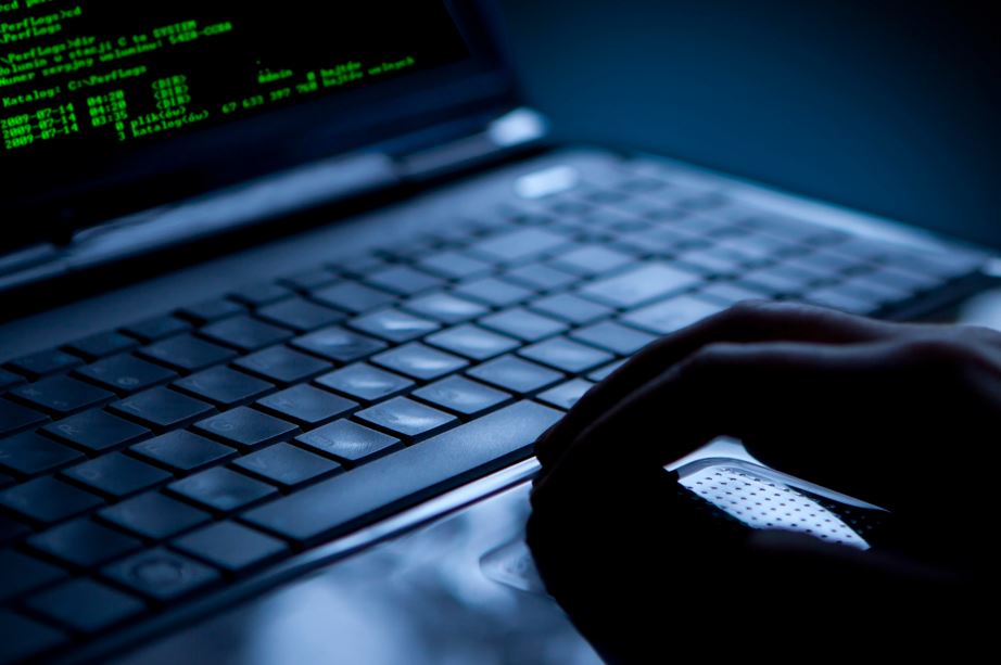 Eurodeputații solicită recunoașterea hărțuirii cibernetice ca infracțiune și responsabilizarea platformelor online