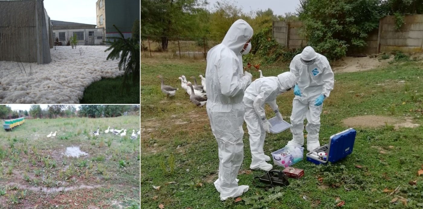 Abatorul companiei Agricola Internațional Bacău a rămas fără autorizația integrată de mediu