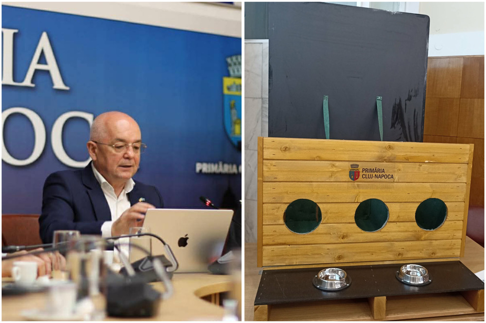 Primarul Emil Boc a anunțat că municipalitatea va finanța în total 50 de căsuțe pentru pisicile comunitare
