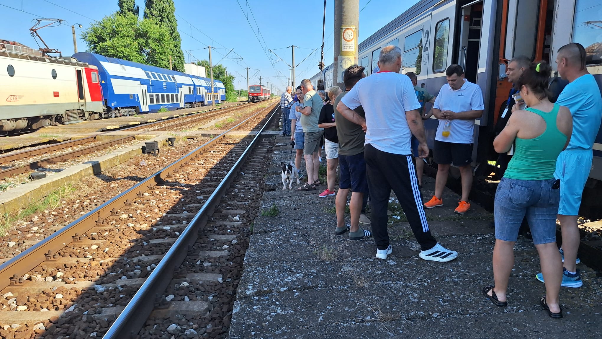Oameni ieșiți dintr-un tren blocat la Movila