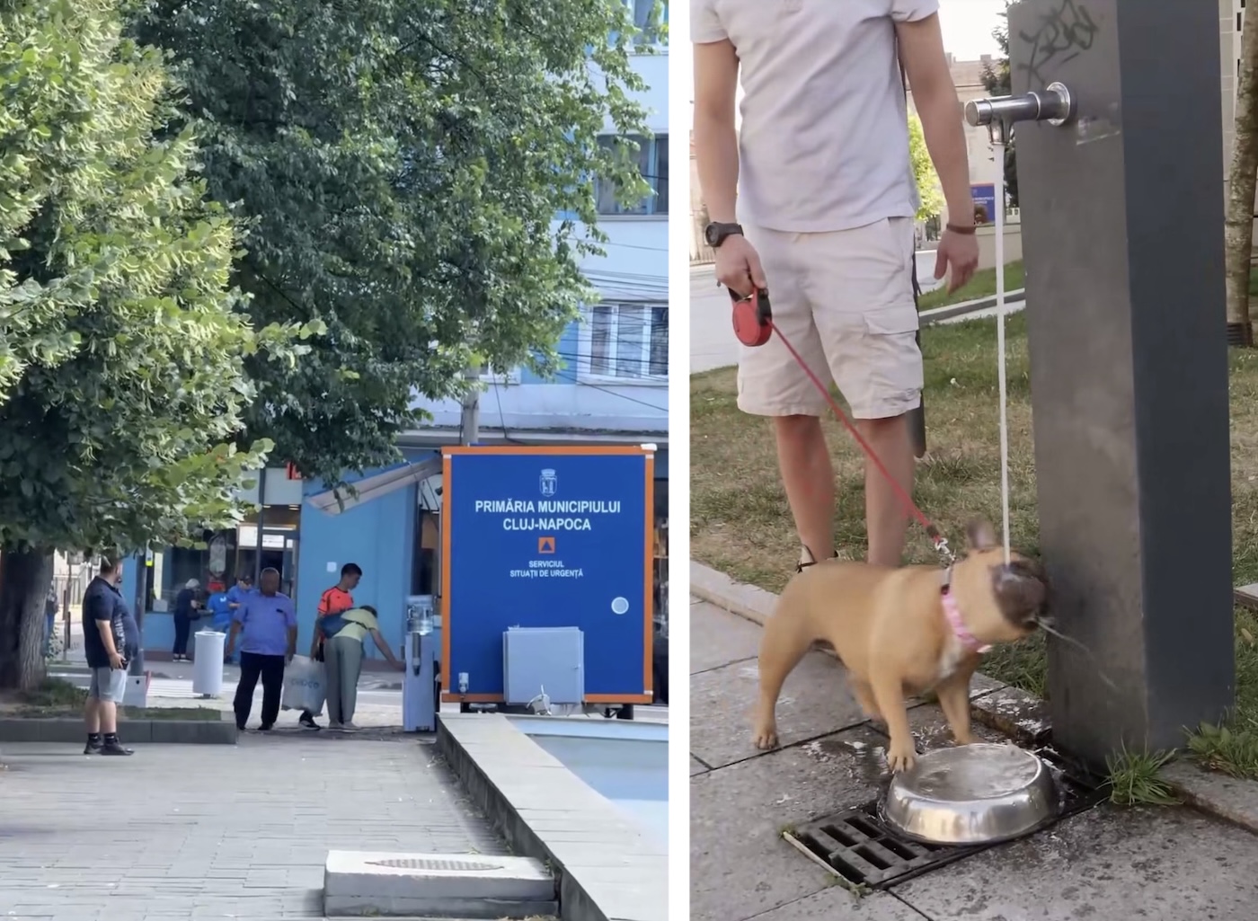 Măsuri pe timp de caniculă în Cluj-Napoca | Foto: Captură video Facebook