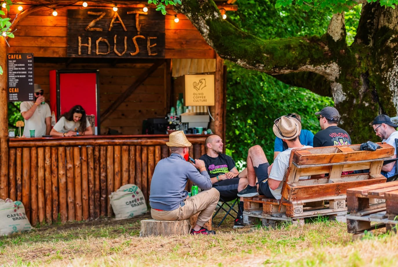 Participanții la Music Outdoor Experience