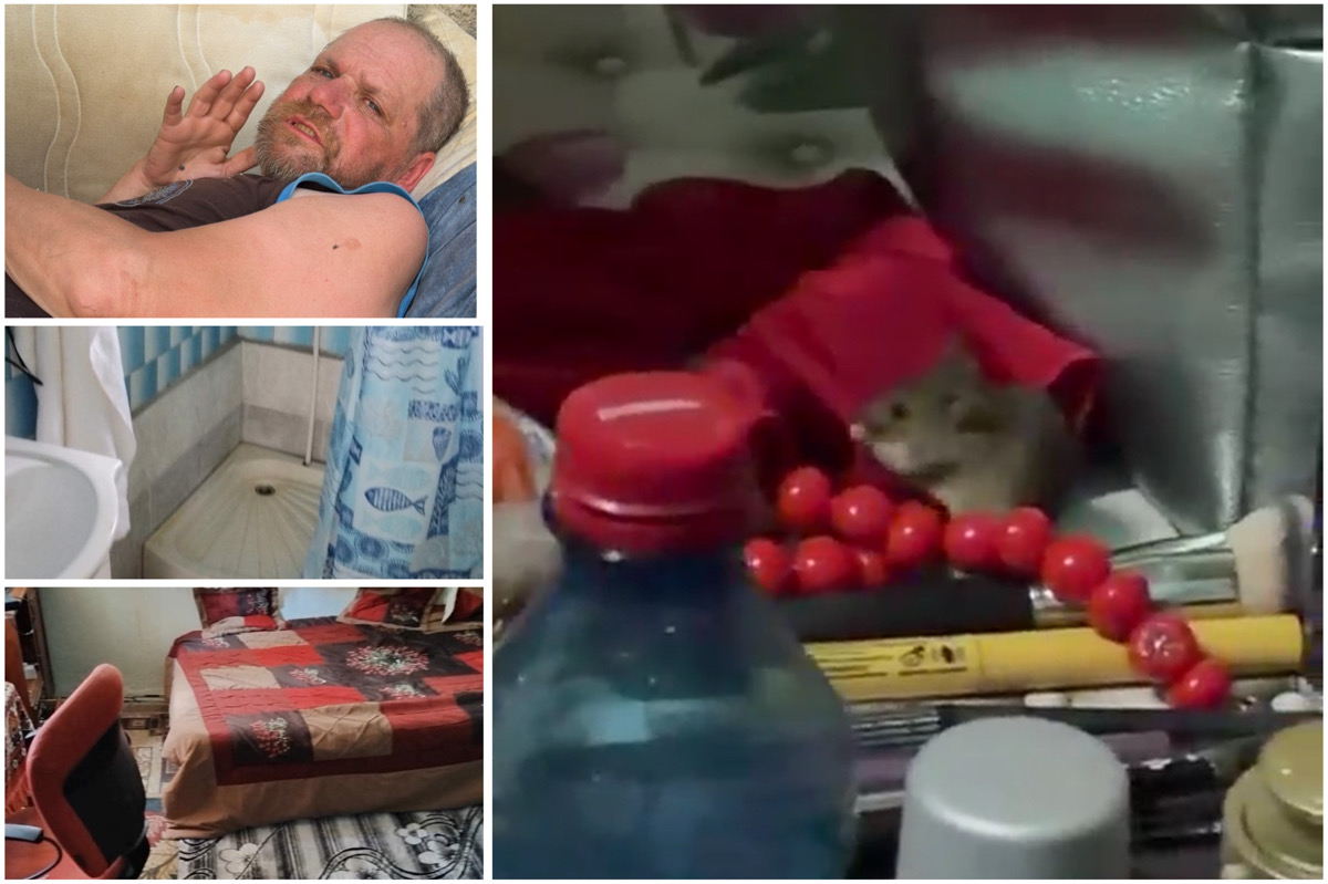 Imagini din locuința închiriată în Bonțida