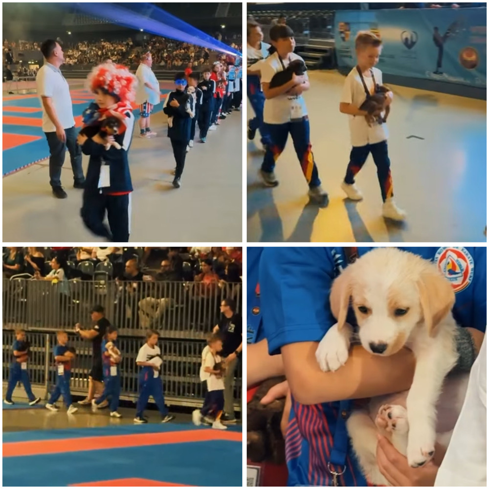 Cățelușii găzduiți de Centrul de Îngrijire de pe strada Bobâlnei au fost prezenți la Campionatul Mondial de Karate WUKF 2026. | Foto: captură video / Facebook Emil Boc