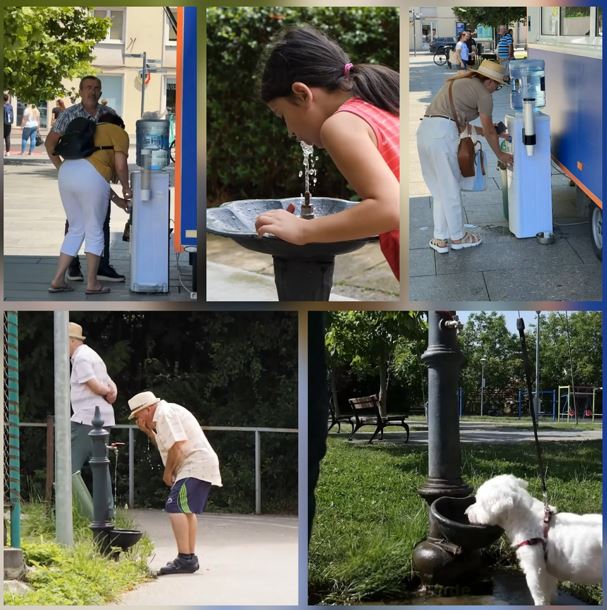 Măsuri pentru perioada de caniculă