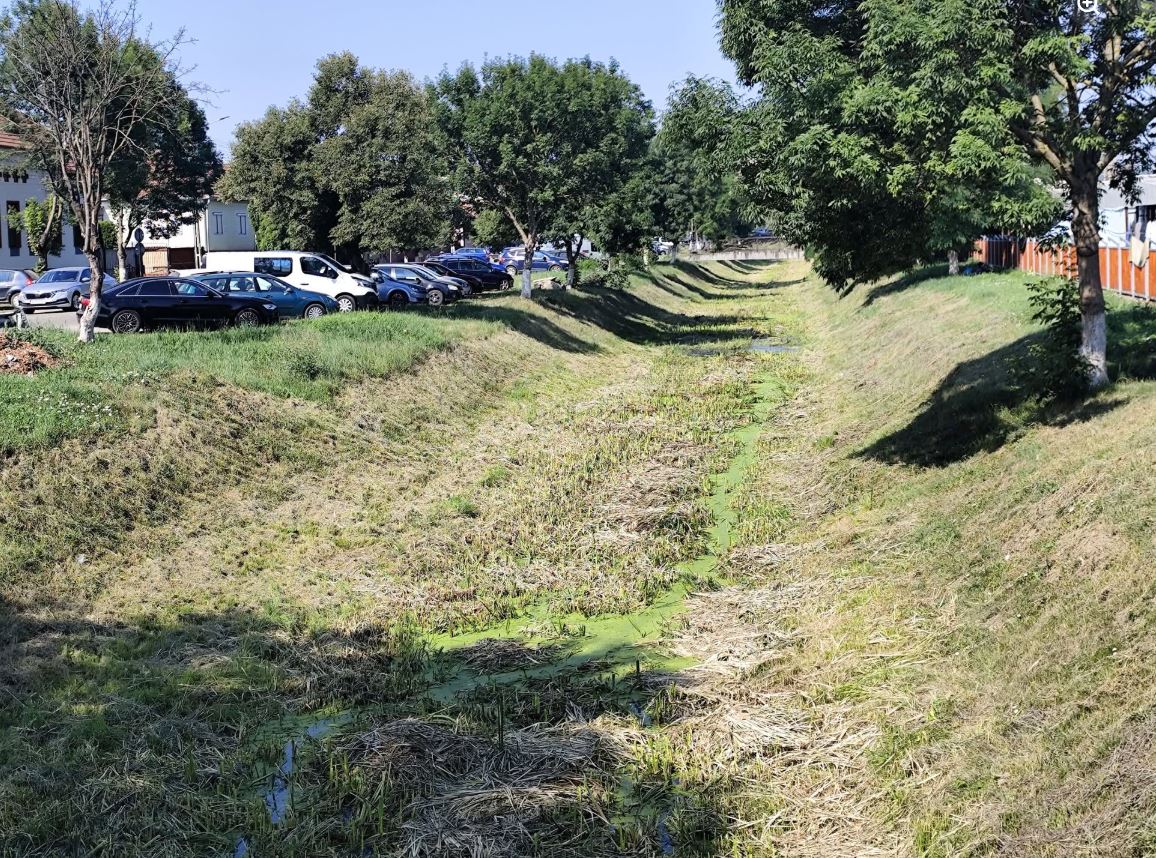 În plin val de caniculă