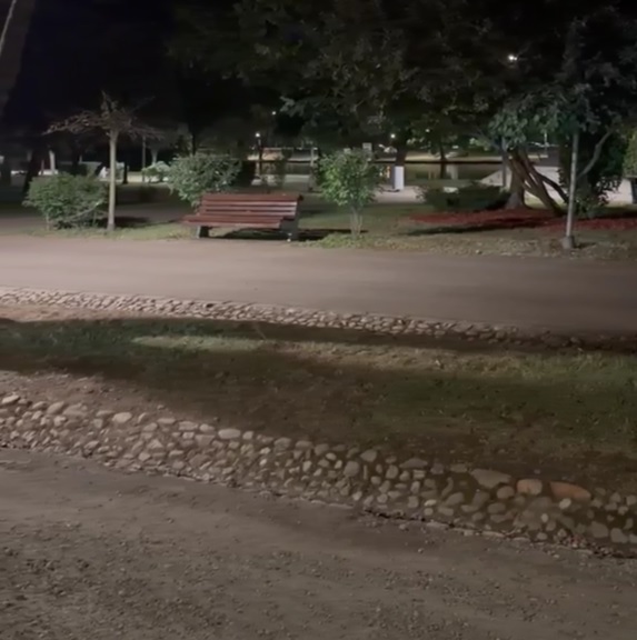 Parcul Central
