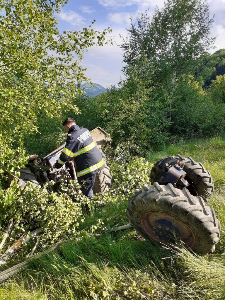 în Valea Drăganului
