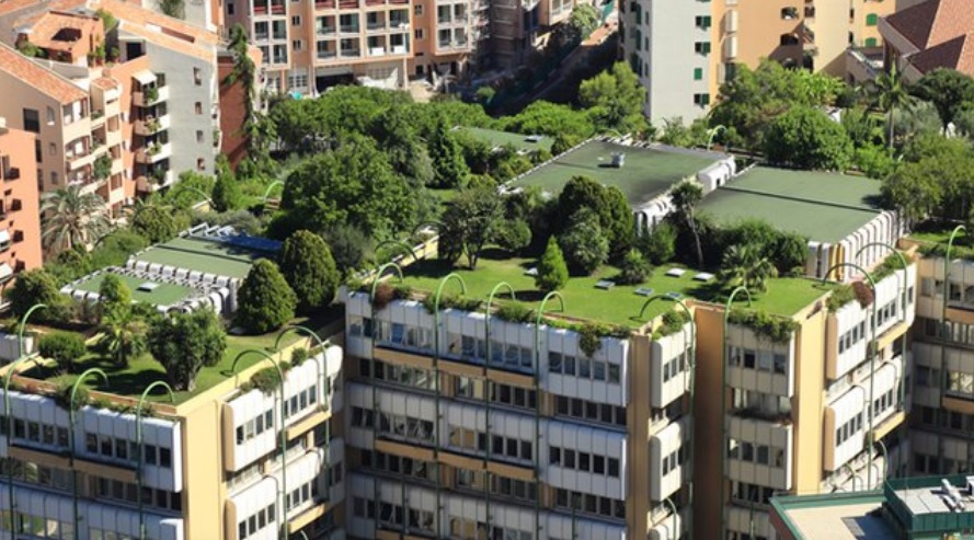 Acoperișuri verzi în Cluj? Blocurile comuniste