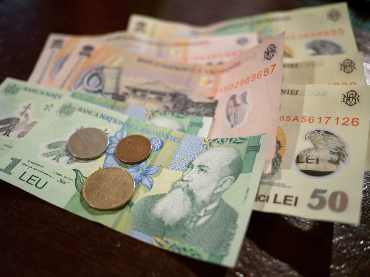 „Stabilitatea relativă" a leului s-a stabilizat