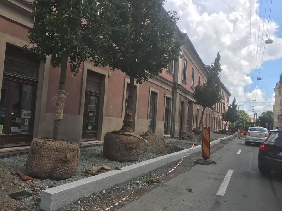 SURPRIZĂ plăcută în centrul Clujului. Ce a apărut pe strada Napoca?