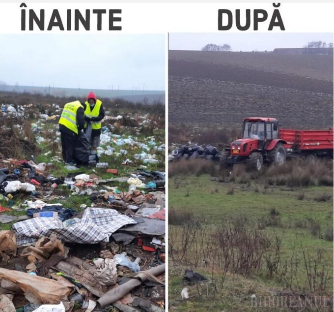 după ce asistații sociali au fost trimiși la muncă - FOTO