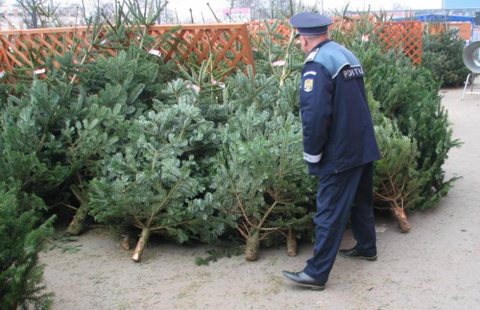 Polițiștii