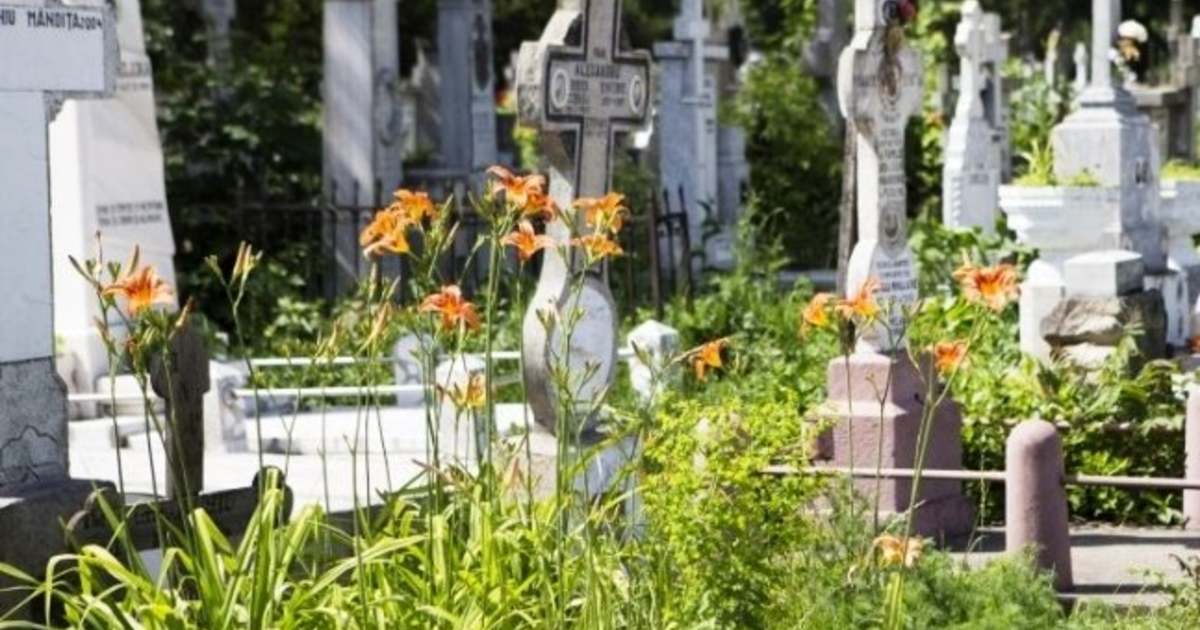 găsit lângă un cimitir. Corpul i-a fost mutilat și ars