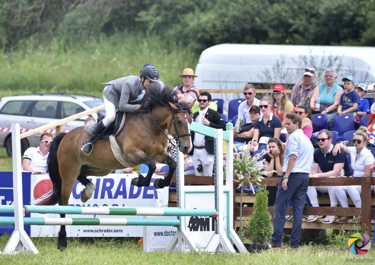 Transylvania Horse Show