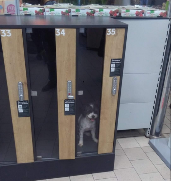 ÎNCHIS în dulapul de bagaje într-un supermarket