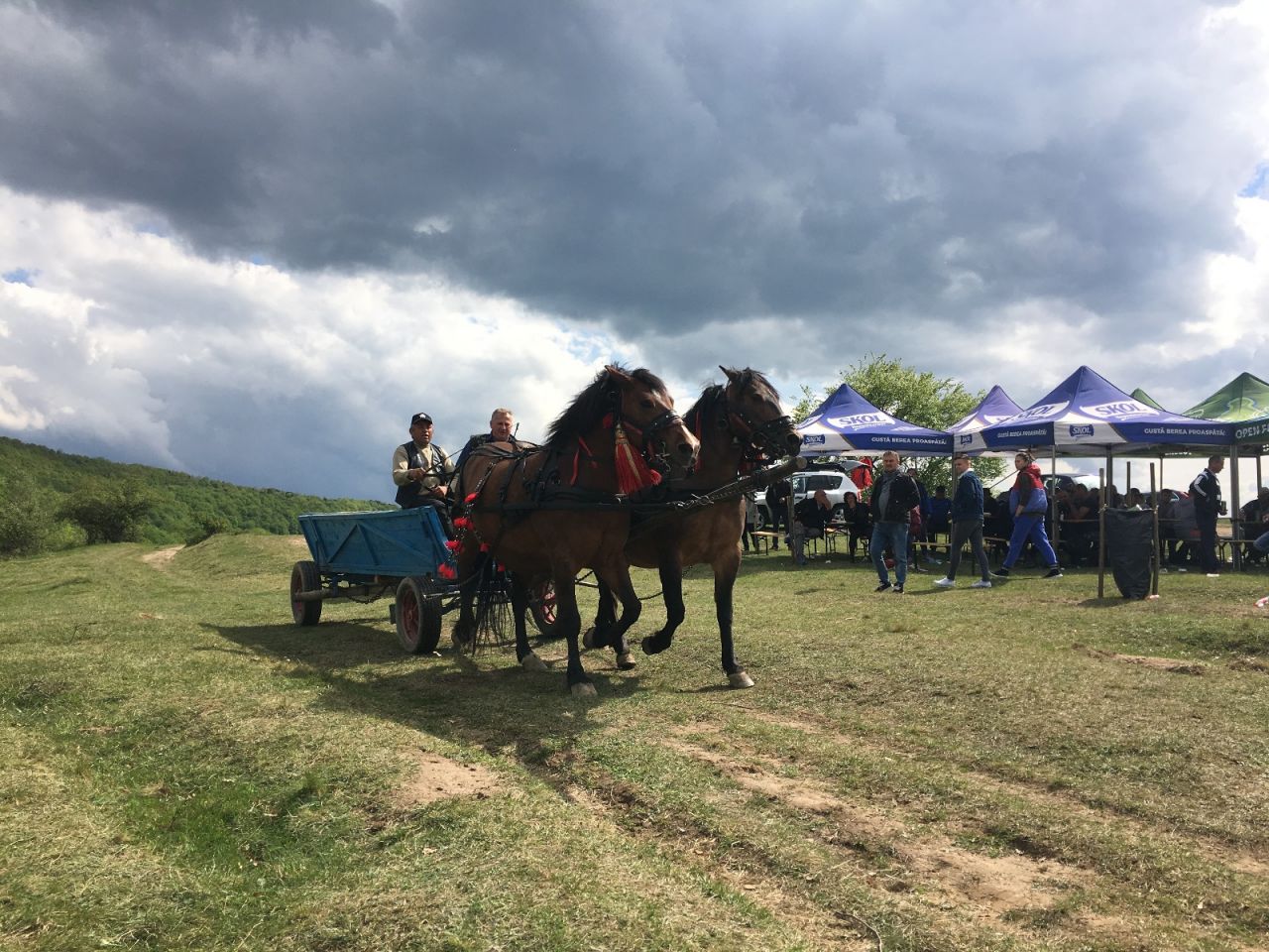 FOTO. Spectacol cabalin la concursul cu cai de tracțiune și frumusețe de la Sălicea