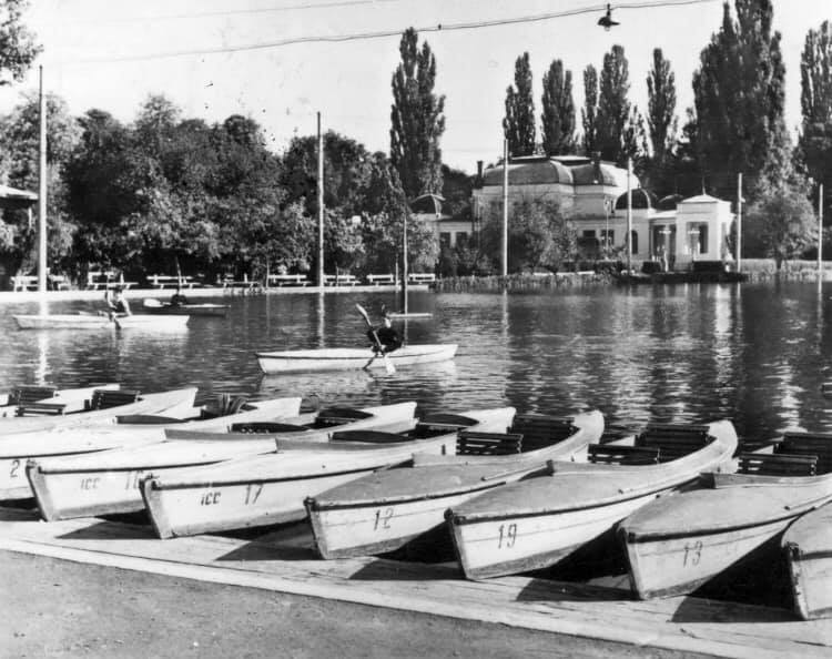 un colț de rai în anii '60. În loc de flamingo roz