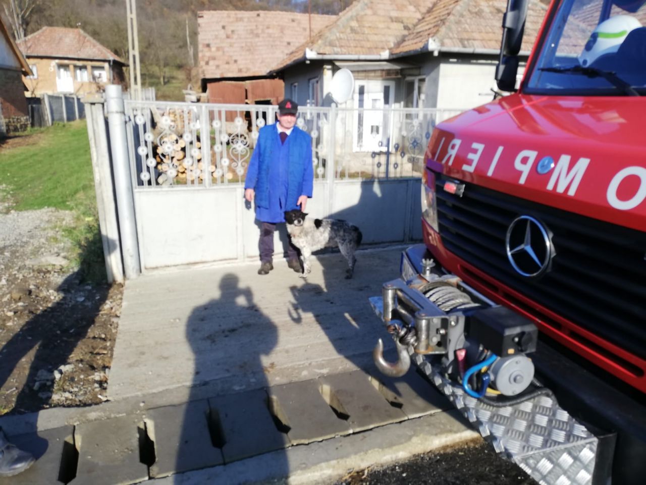 Viața unui biet cățel