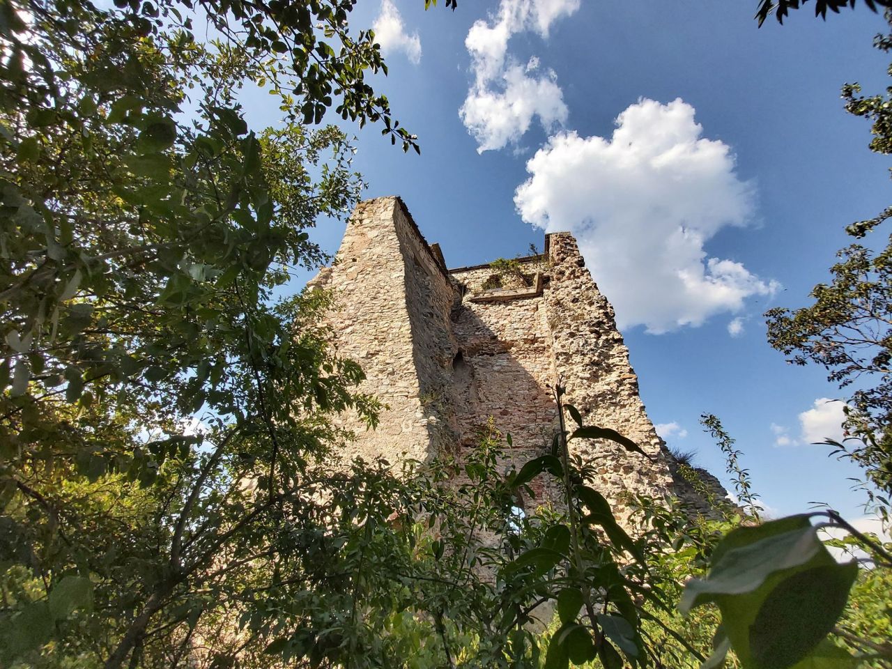 Cetatea Almașului