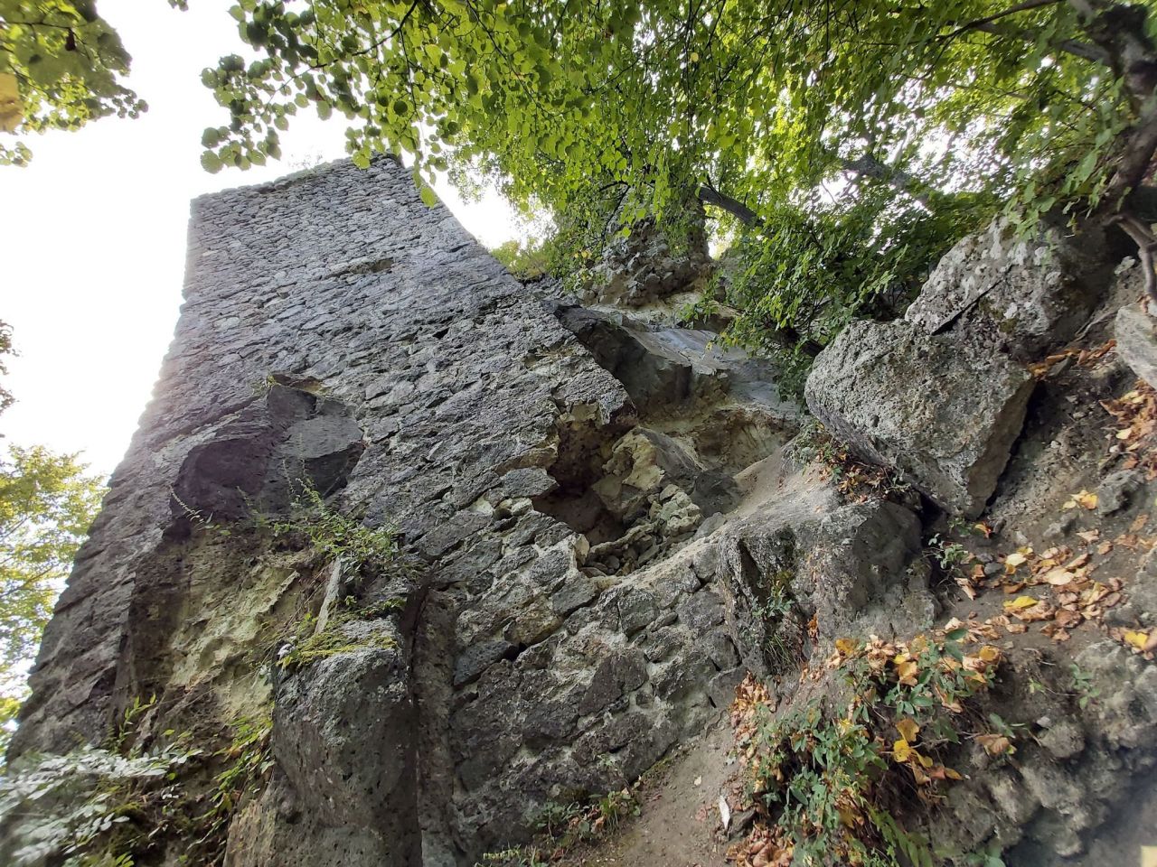 Cetatea Ciceului