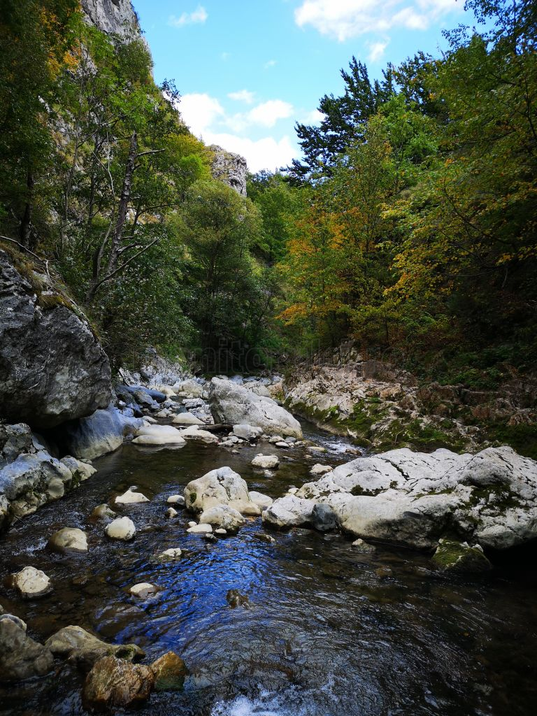 Cheile Râmețului