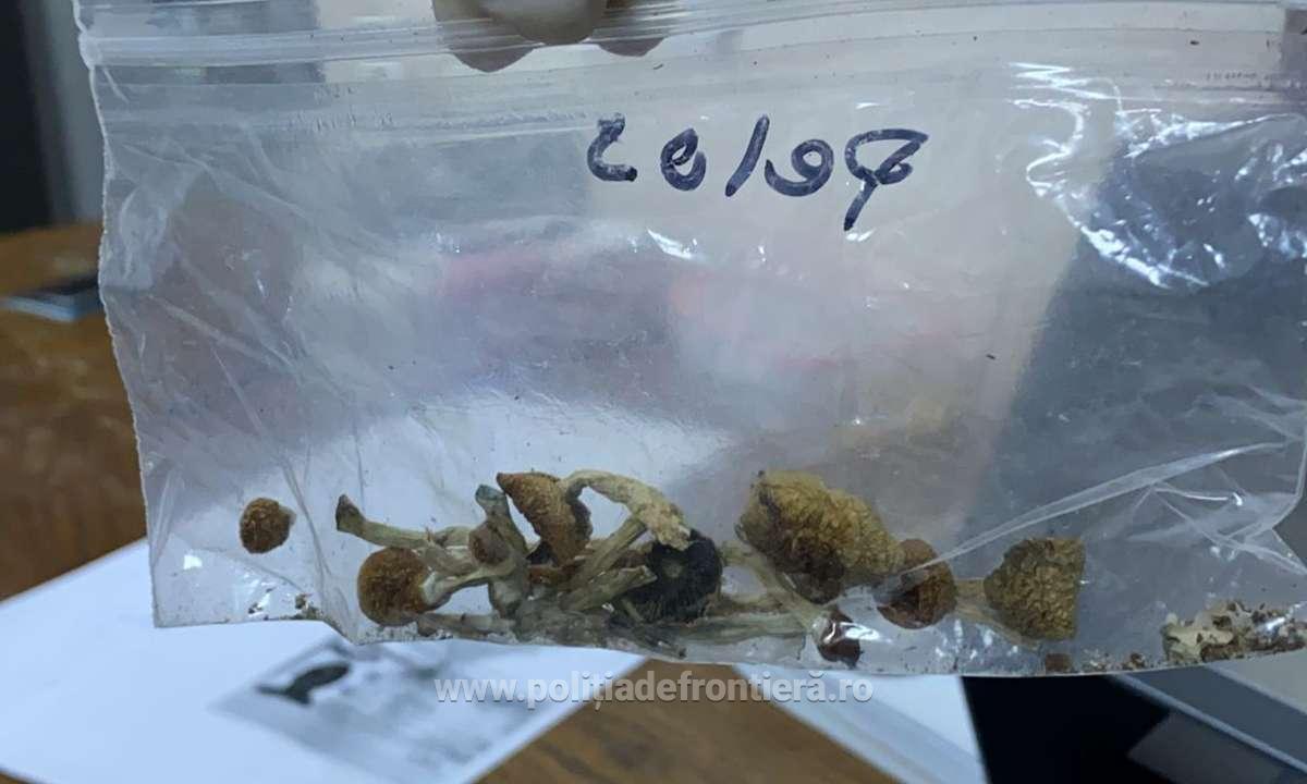 prins cu ciuperci halucinogene pe Aeroportul Cluj. Bărbatul se pregătea de festival