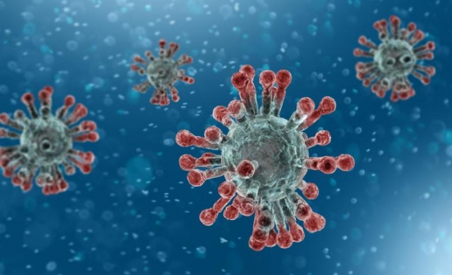 Virus similar COVID-19